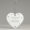 FS831: Baby Heart Plaque